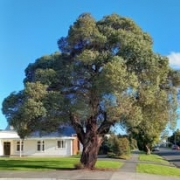 670547330 1252480297063905 9028349739543444402 n