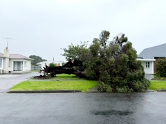 Cyclone Vaianu claims Mangapapa Church TREE 670838582 1252480250397243 5639161746958379520 n2